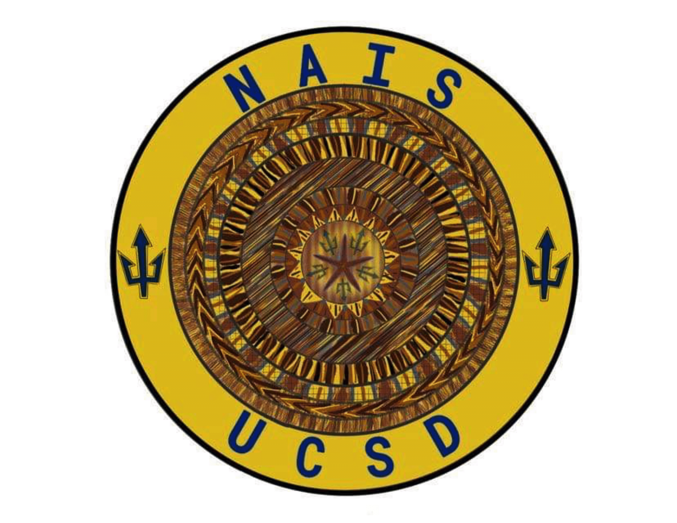 NAIS-logo